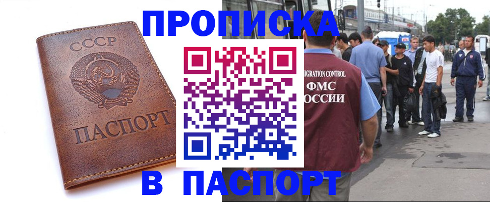временная регистрация поиск в Чкаловске